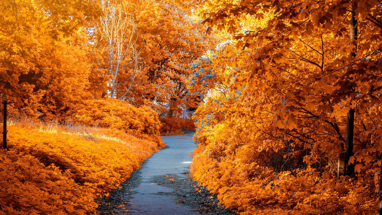 What shoulder season means