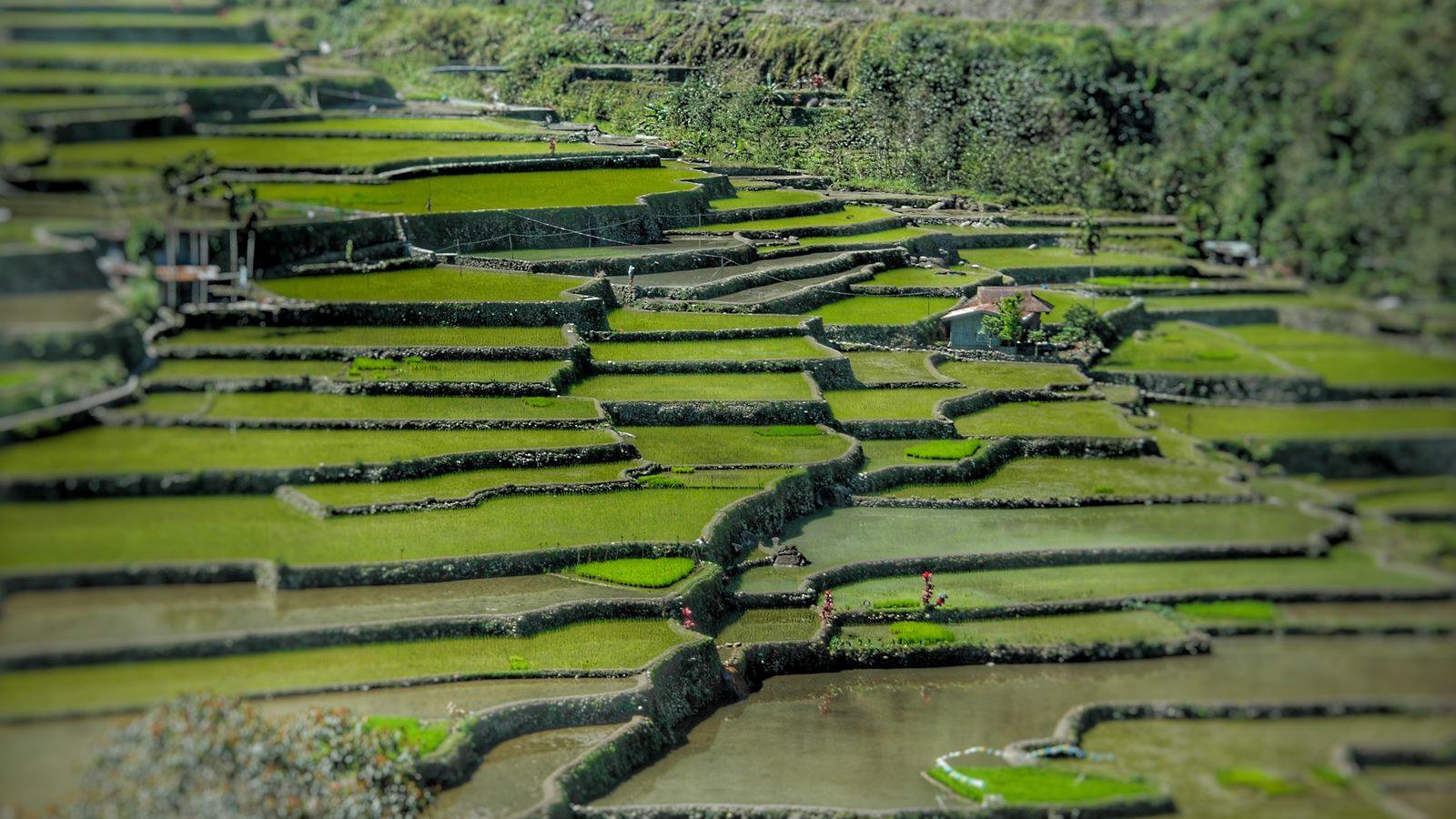 Southeast Asia Weather by Month: A Country Guide